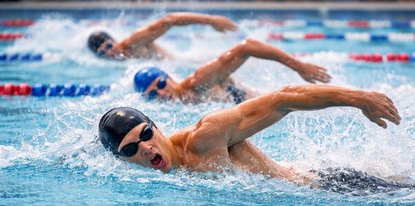 Казань может снова принять этапы Кубка мира по ...