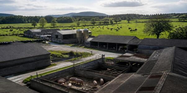 В Татарстане увеличилось производство молока и ...