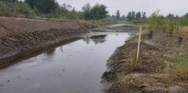 Река Нокса под Казанью требует расчистки из-за ...