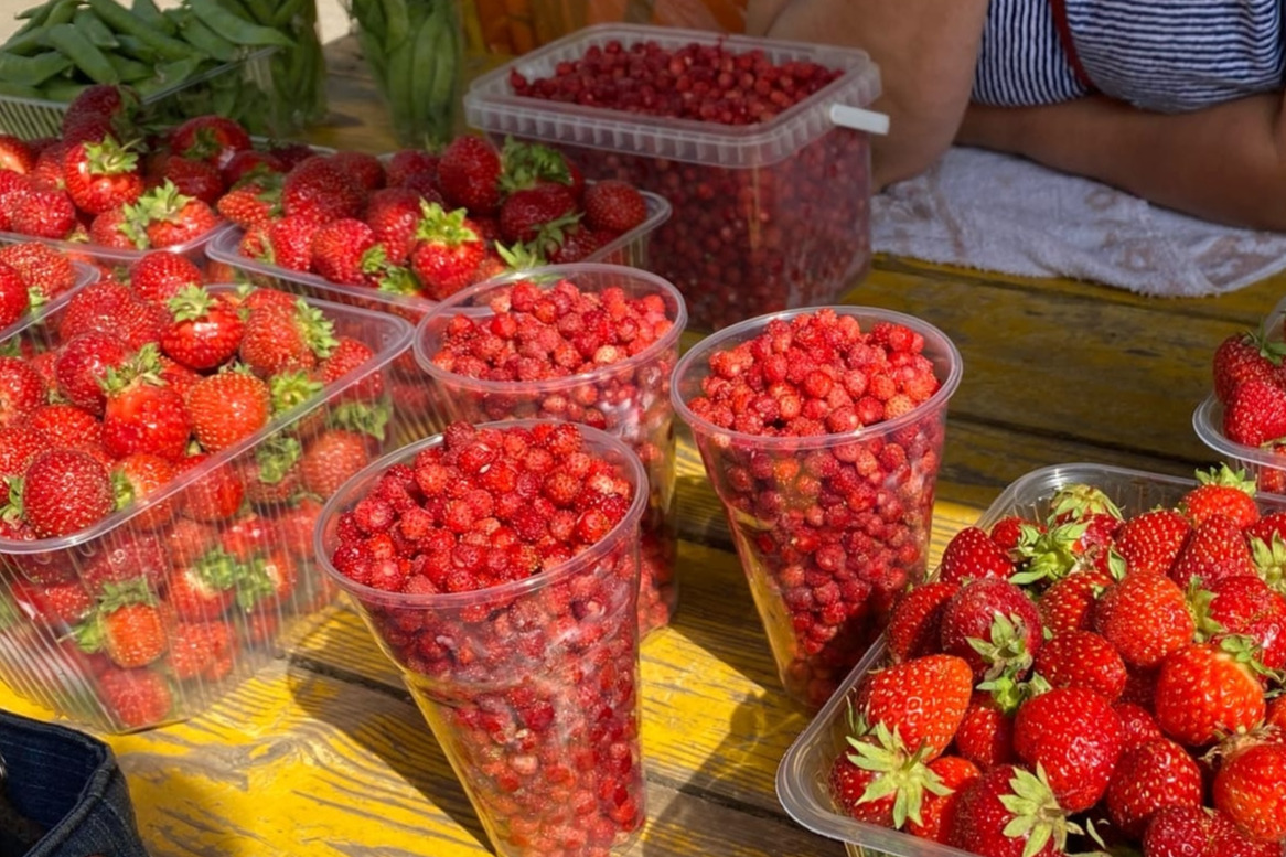  Достигнет 6 тысяч рублей: россиян предупреждают о резком подорожании ягод  