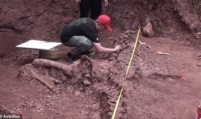 Китайские учёные открыли новый вид гигантского динозавра-зауропода