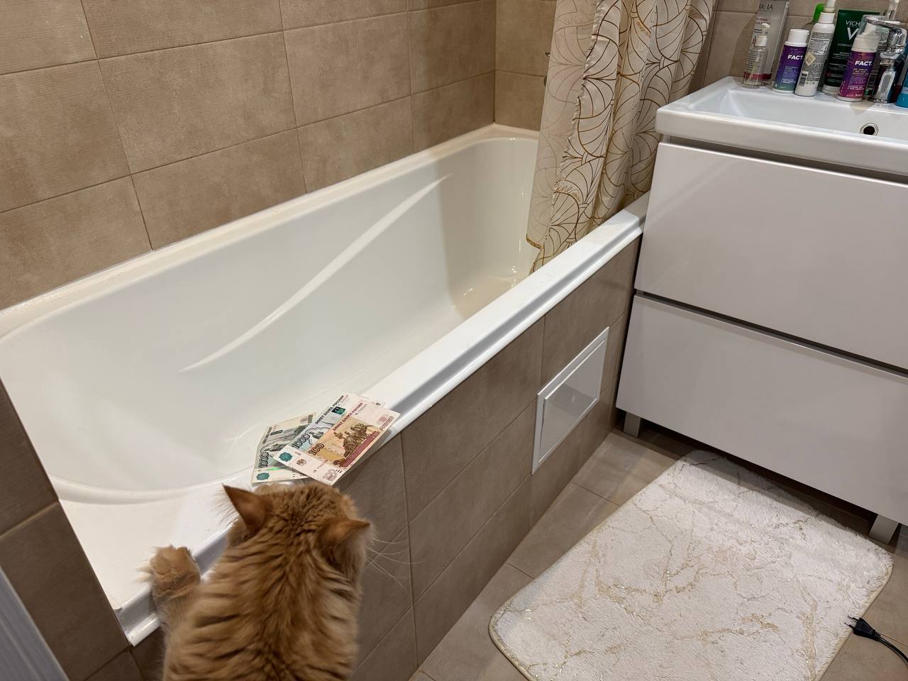  Россияне ликуют из-за коммунальных платежей: почему январские квитанции ЖКХ могут стать заметно меньше 