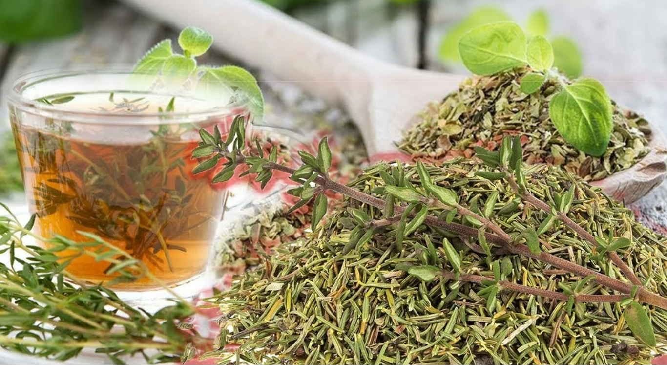  Эти обычные травы помогут в похудении без вреда для организма: советы эксперта 