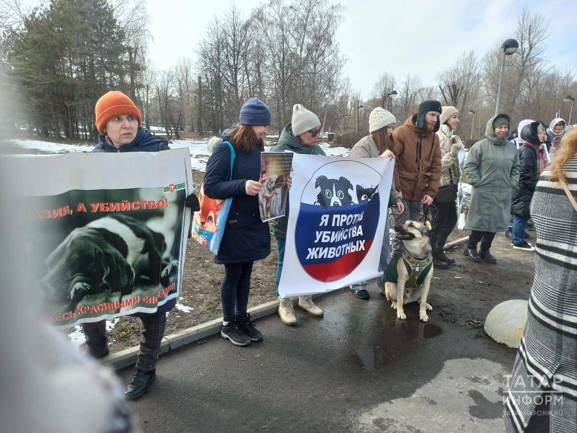  Зоозащитники в Казани провели пикет против отлова и убийства бездомных собак 