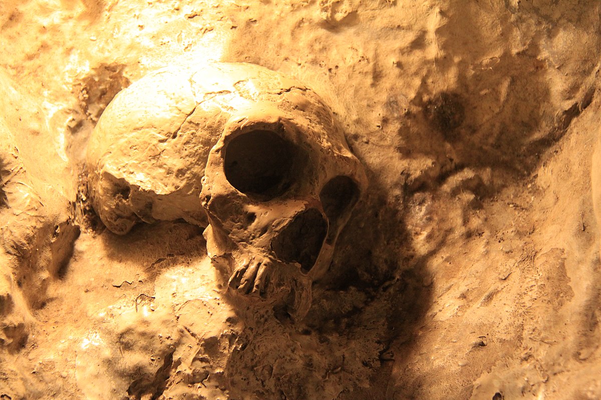 Археологи нашли следы каннибализма возрастом 850 тысяч лет