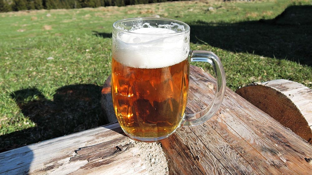  Ученые сказали, для чего людям старше 60 лет надо пить пиво каждый день 
