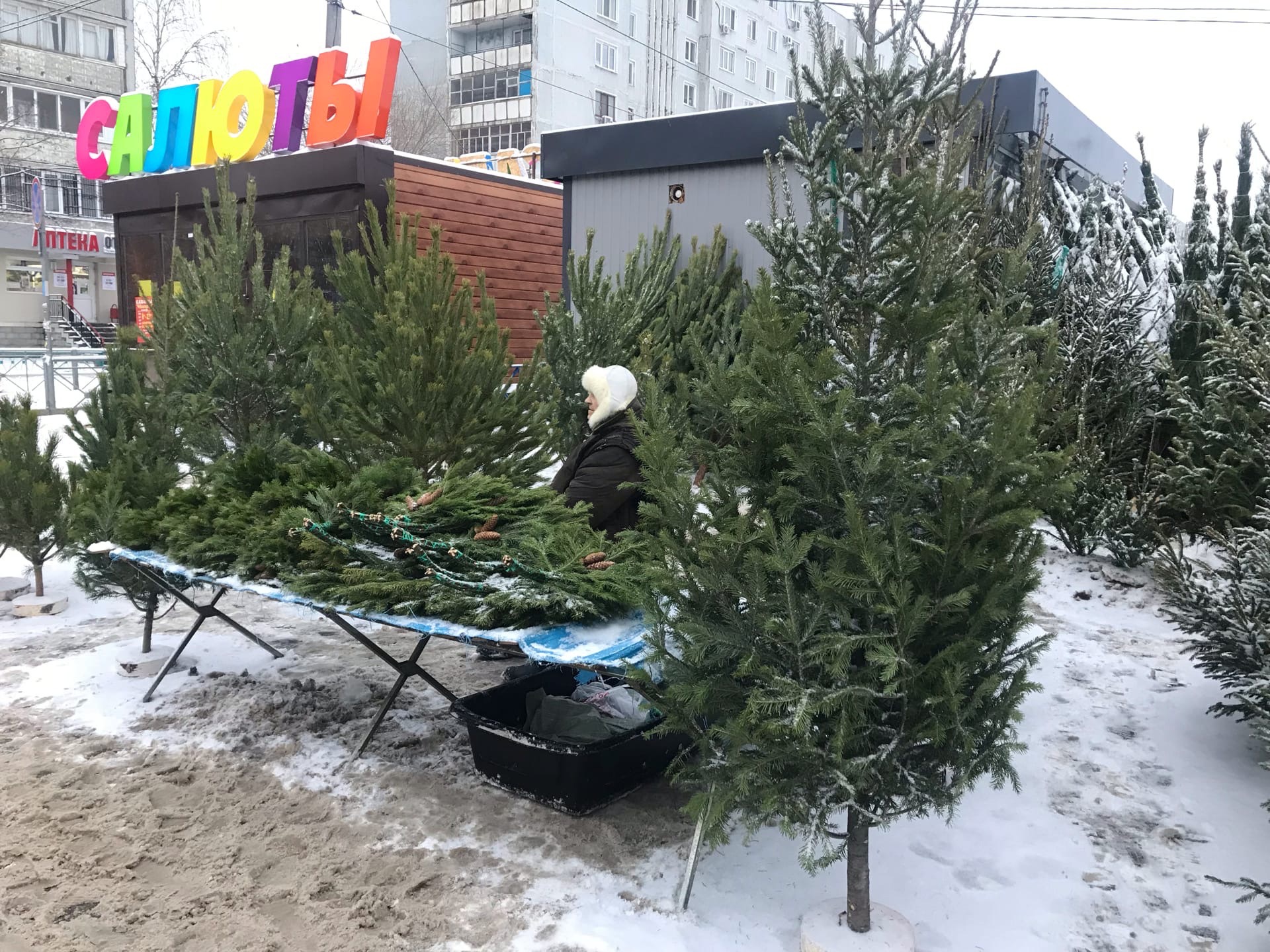  В январе 2025 отдыхать не будем: принято жесткое решение о новогодних праздниках - выходные убрали из-за ситуации в стране 