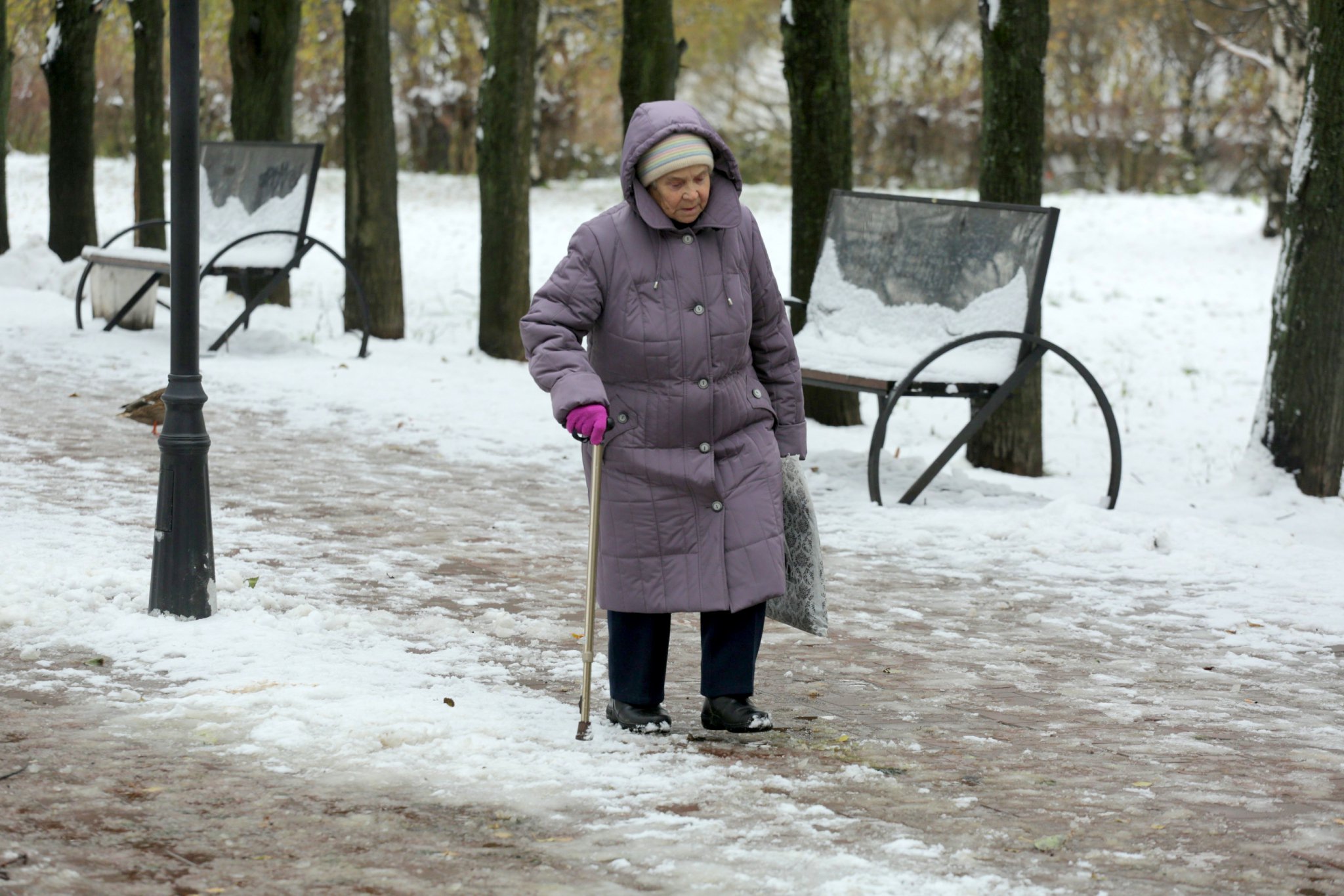  Указ согласовали тихо: пожилых россиян в возрасте от 59 до 83 лет ждут изменения с 17 марта 