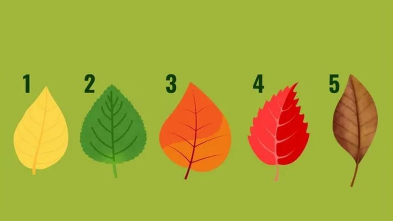 Тест покажет, в какой сфере вас ждёт успех и почему работа может тяготить - выберете лист