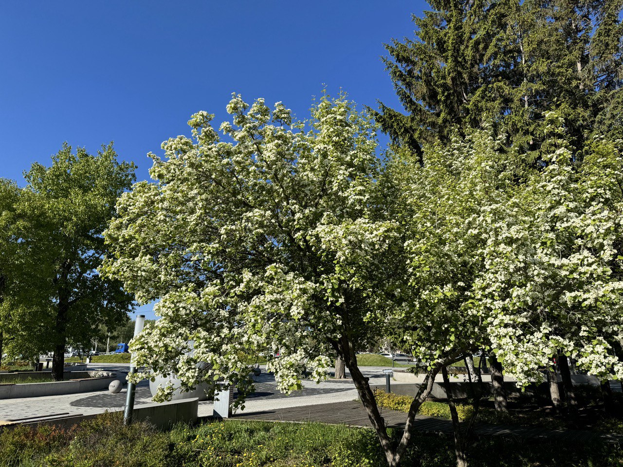  Весна ворвётся без предупреждения: неожиданный прогноз Вильфанда и его последствия 