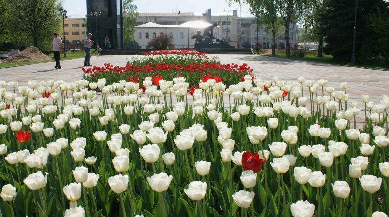  Масштабный проект озеленения: Москва и Оренбург инвестируют в выращивание тюльпанов 