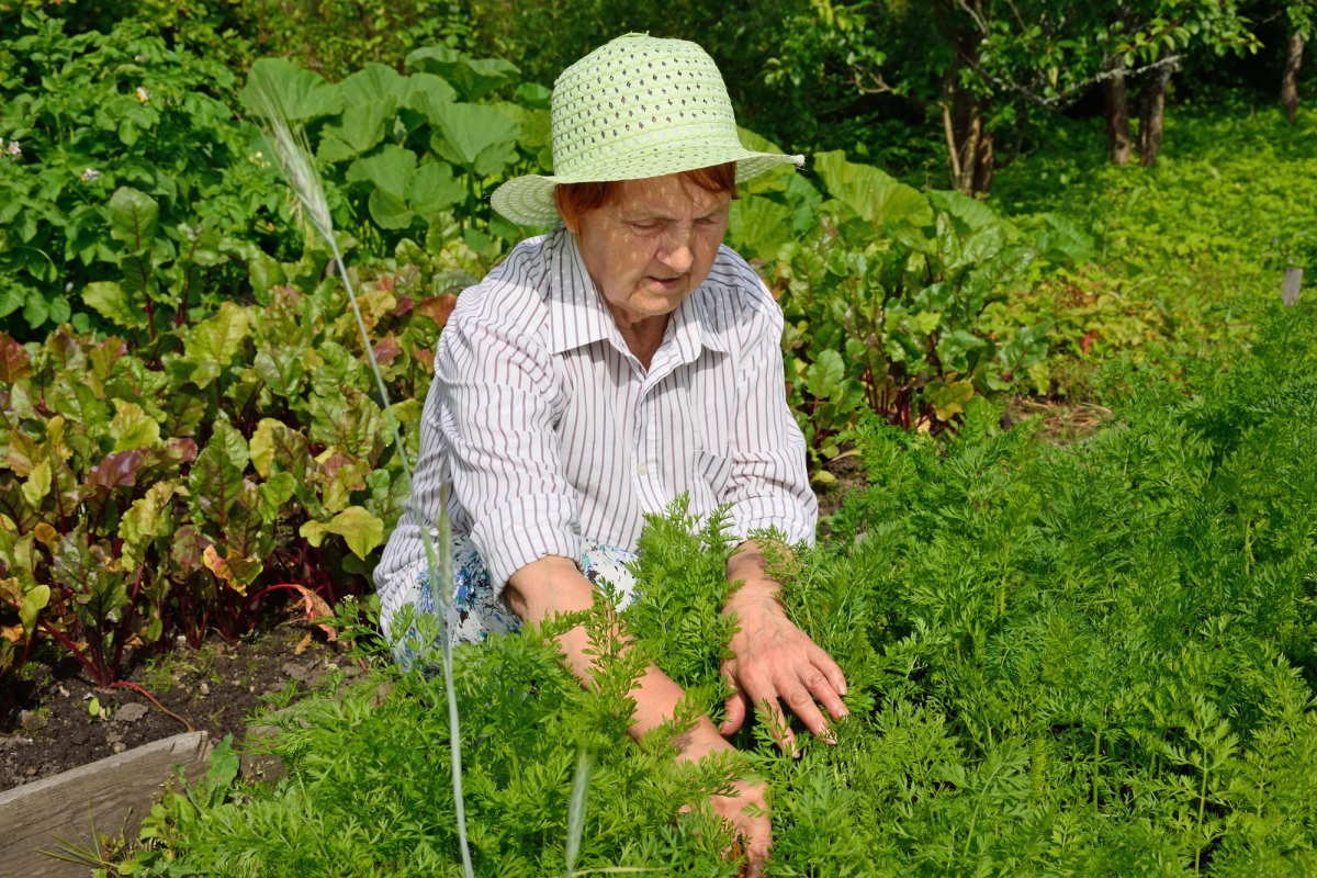  Теперь будет запрещено: в России пенсионеров, доживших до 70 лет, ждет огромный сюрприз с начала августа 