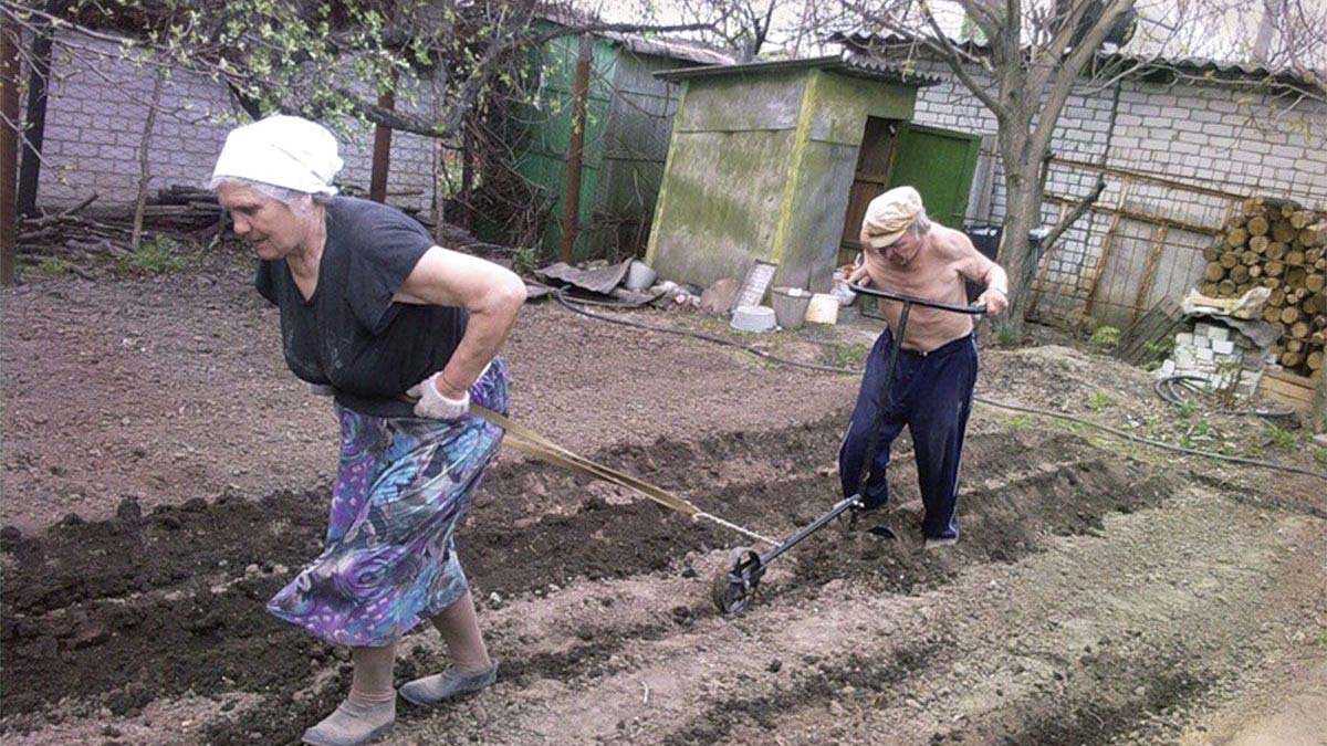  Ушлые дачники мешками запасаются пенопластом на следующий год: даже мертвая и твердая земля станет мягкой как пух 