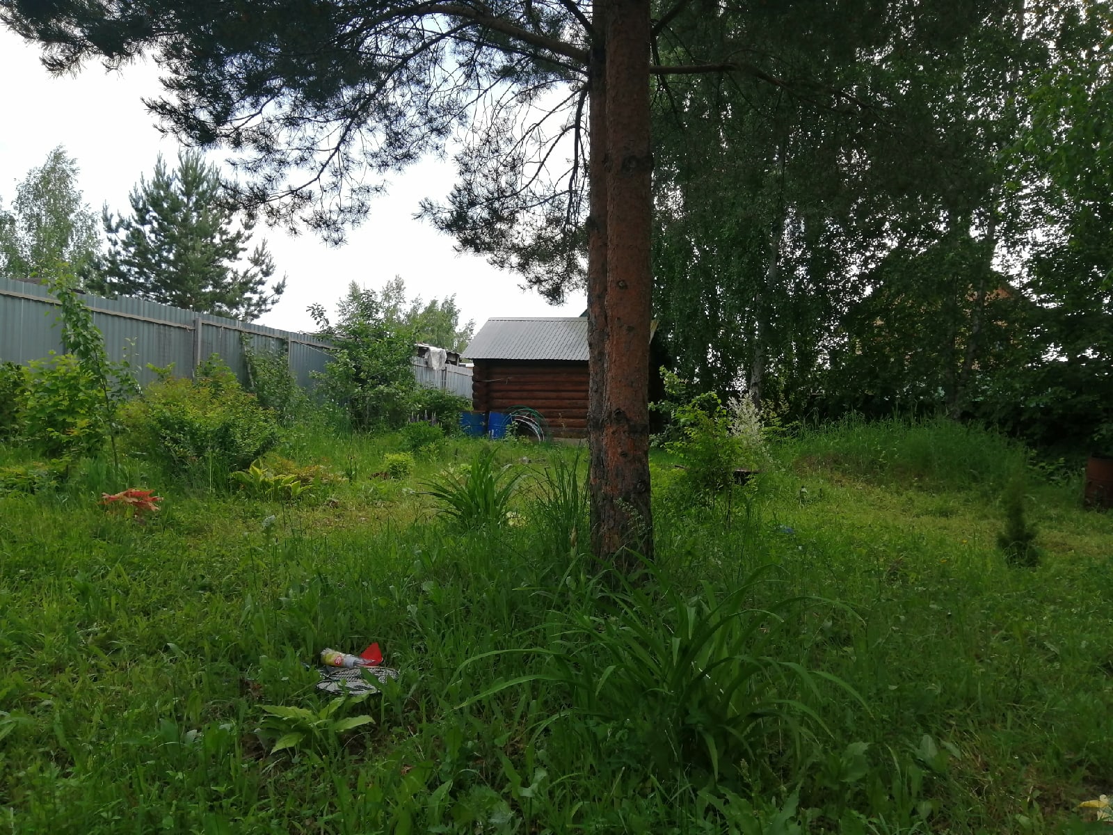  Каким будет лето 2026 после сумасшедшей зимы: неожиданные прогнозы и тревожные сигналы для садоводов 