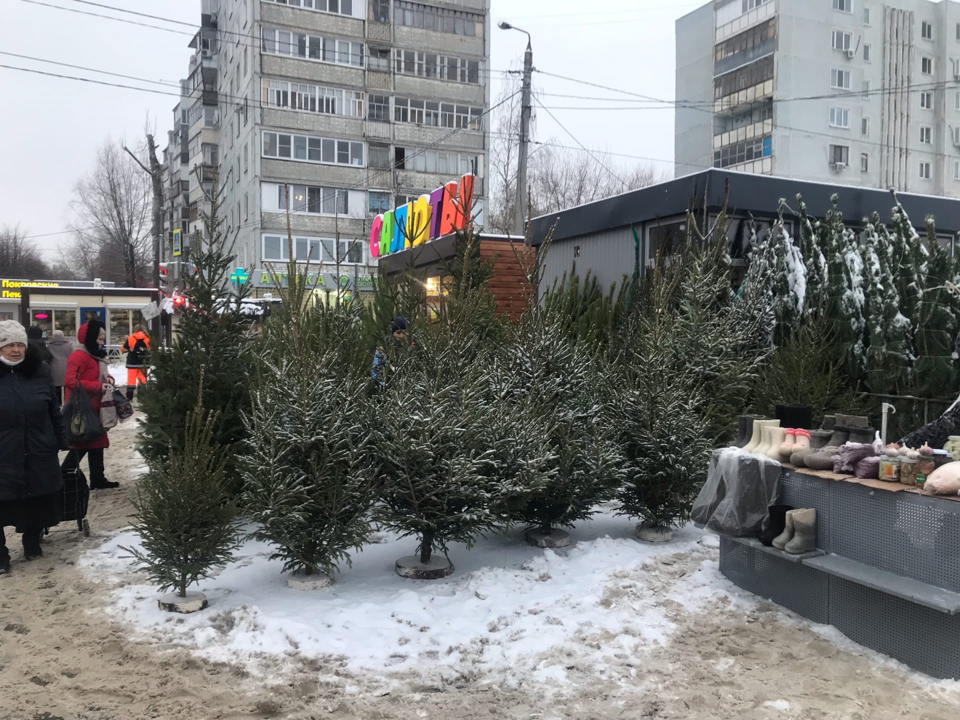  В январе отдыхать не будем: принято жесткое решение о новогодних праздниках - выходные сократили из-за ситуации в стране 