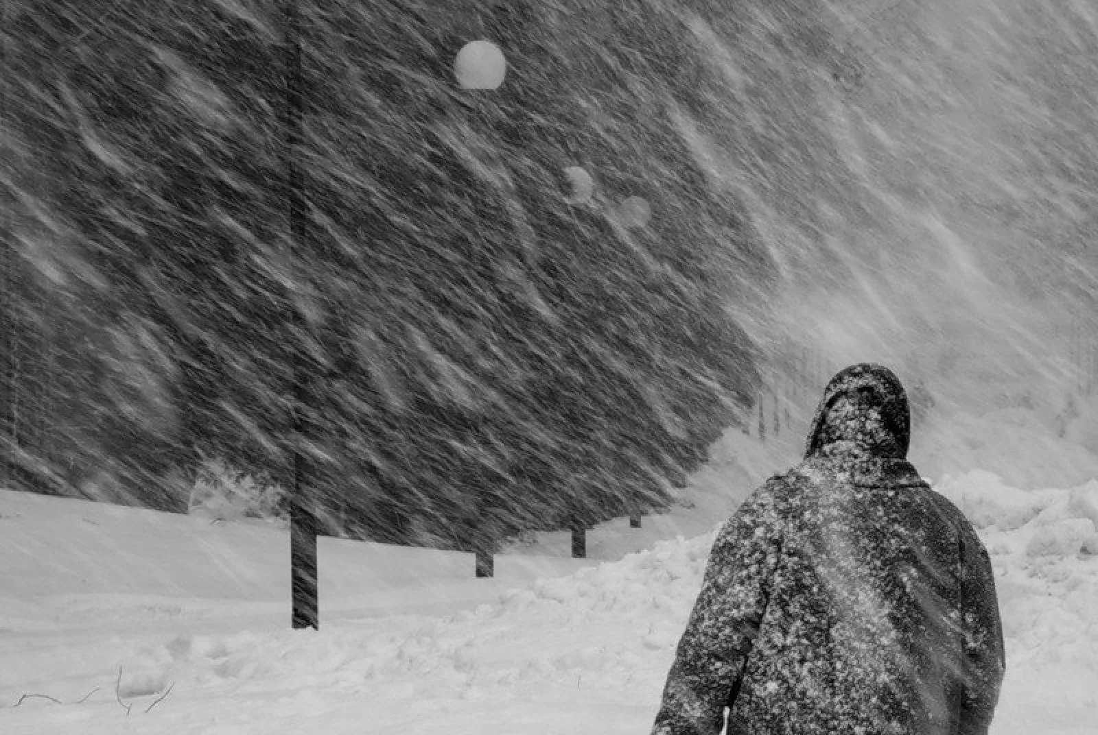  «Декабрь и январь будут безумными». Российские синоптики сказали, к чему надо начинать готовиться 