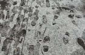 Казань потратит более 240 млн рублей на борьбу ...