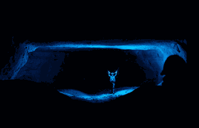 Инсталляции на озере, посреди рынка и даже в пе...