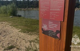 В МЧС раскрыли подробности гибели мальчика на о...