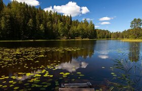 С начала года в Татарстане зафиксировано 50 тра...