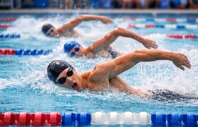 Казань может снова принять этапы Кубка мира по ...