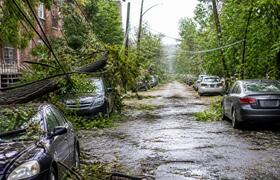 Ураган в Альметьевске повалил деревья и оборвал...