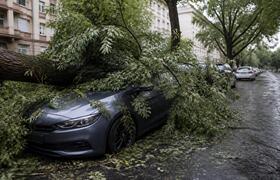 Сильный ветер повалил пять деревьев в Казани, п...