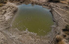 Жара и слабый водообмен погубили рыбу в прудах ...