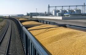 Татарстан нарастил поставки льна и гороха в Китай