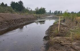 Река Нокса под Казанью требует расчистки из-за ...
