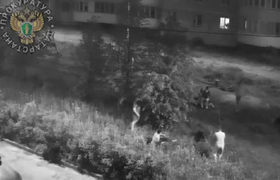 2 татарстанца обвиняются в хулиганстве и убийстве