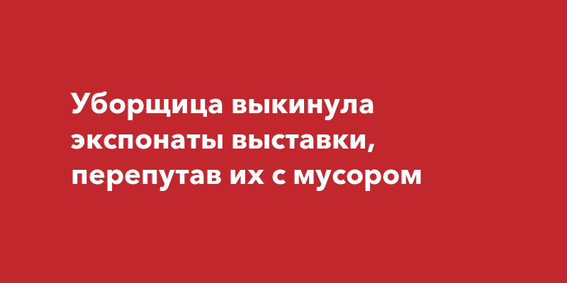 Уборщица выкинула экспонаты выставки, перепутав их с мусором