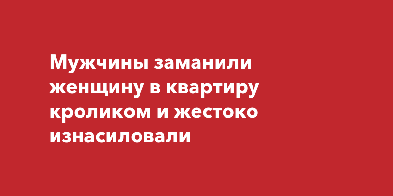 Мужчина заманил и изнасиловал девочку в съемной квартире в Петербурге