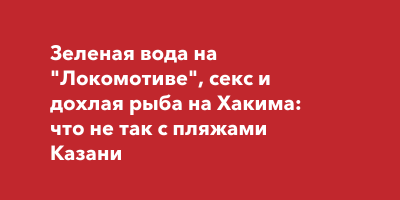 Россиянки вышли на митинг с плакатом «нет абортов — нет секса»: Общество: Россия: бюджетыч.рф