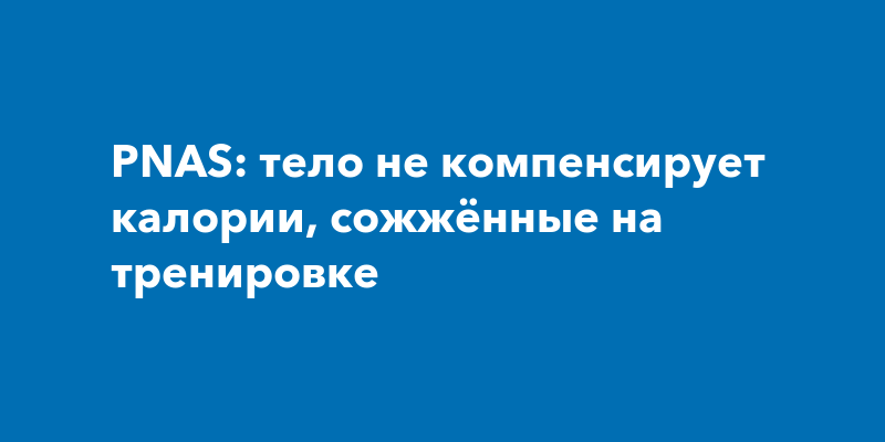 PNAS: тело не компенсирует калории, сожжённые на тренировке